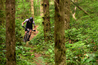 BCBR25_6_0165_DS