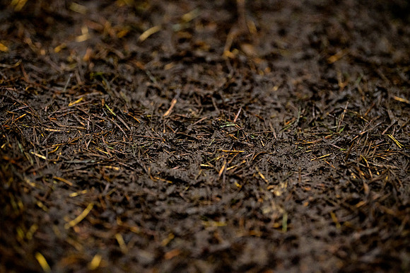 DS_211024_107