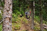 BCBR21_3_0254_DS