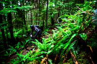 BCBR14_TW_Day01_0415