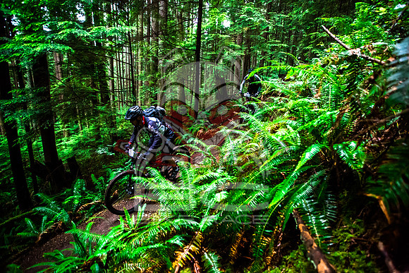 BCBR14_TW_Day01_0415