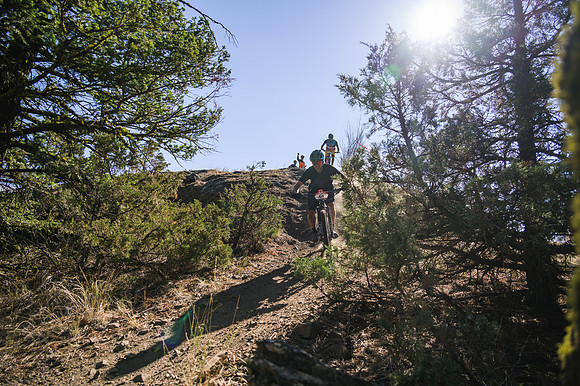 BCBR21_2_0109_DS