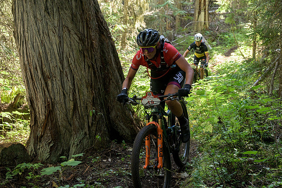 BCBR22_2_0111_DS