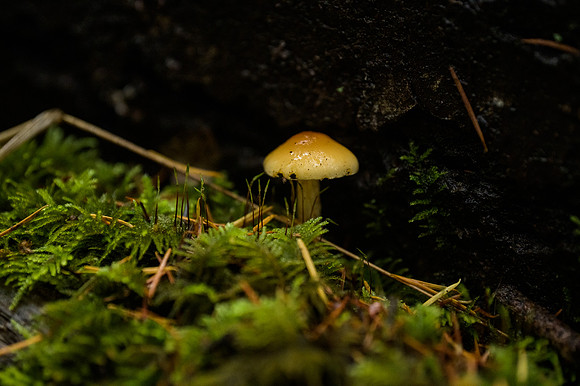 DS_211024_109