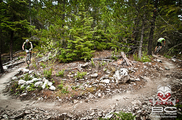 DS_BCBR08_7_0630