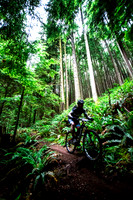 BCBR14_TW_Day01_0439