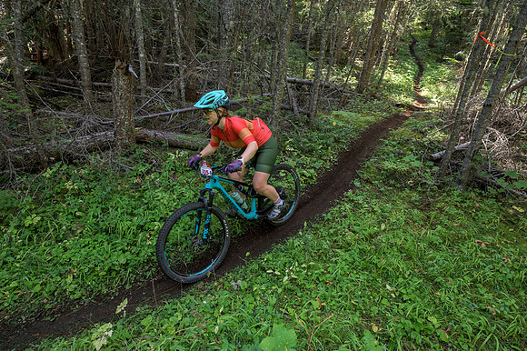 BCBR22_2_0538_DS