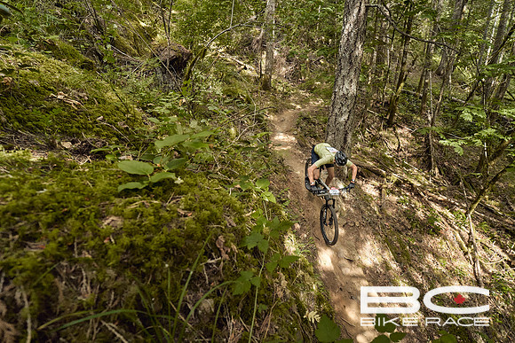 BCBR2024_Day1_DM 37