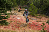 BCBR21_3_0199_DS